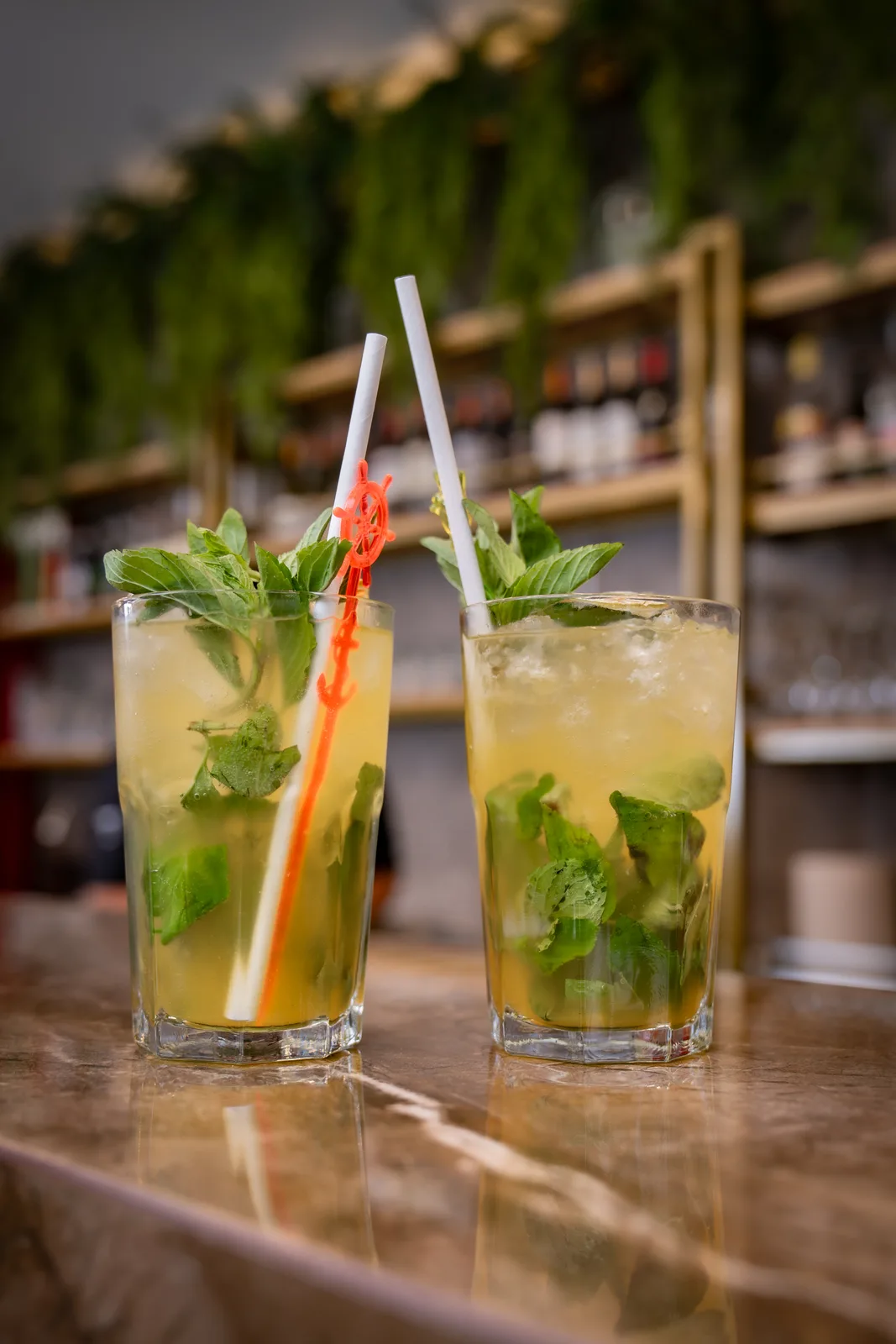 Plato de comida tradicional arequipeña servido en Típika